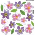 Folie Sospeso Trasparente- Littel Anemone